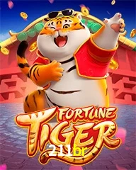 211BR.COM